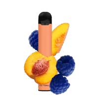 Fog Formulas Series 1600 - Peach Blue Raspberry