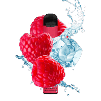 Fog Formulas Series 1600 - Raspberry Ice