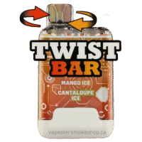 Twist Bar (Dual Pod) 10000 Puffs Disposable Vape – Peach Lemon/Peach Berry